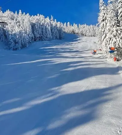 Pineta بيلاسنيكا