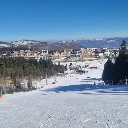 Apartman Pineta